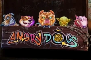Angry Dogs